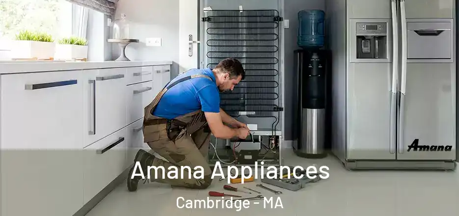  Amana Appliances Cambridge - MA