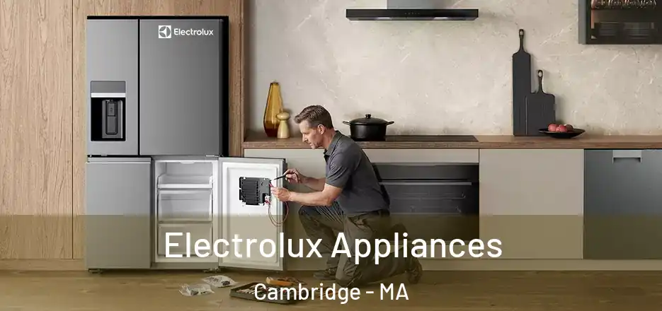  Electrolux Appliances Cambridge - MA