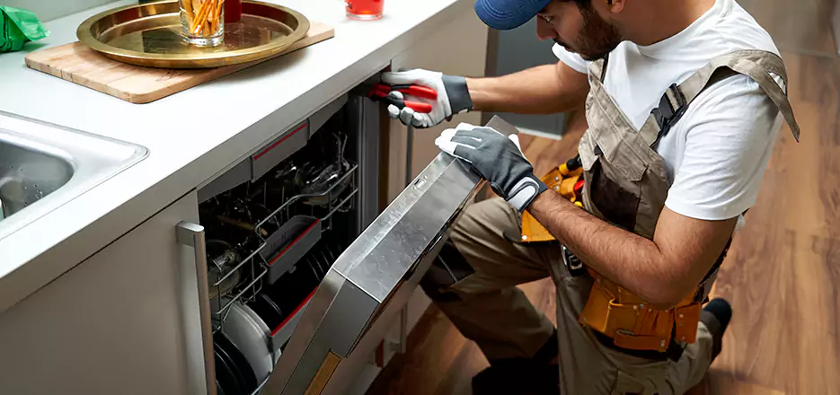 Same Day Dishwasher Not Draining Repair in Cambridge
