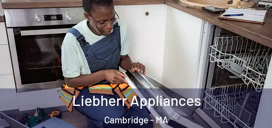  Liebherr Appliances Cambridge - MA