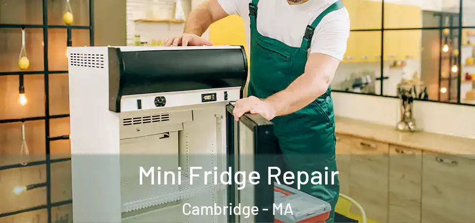  Mini Fridge Repair Cambridge - MA