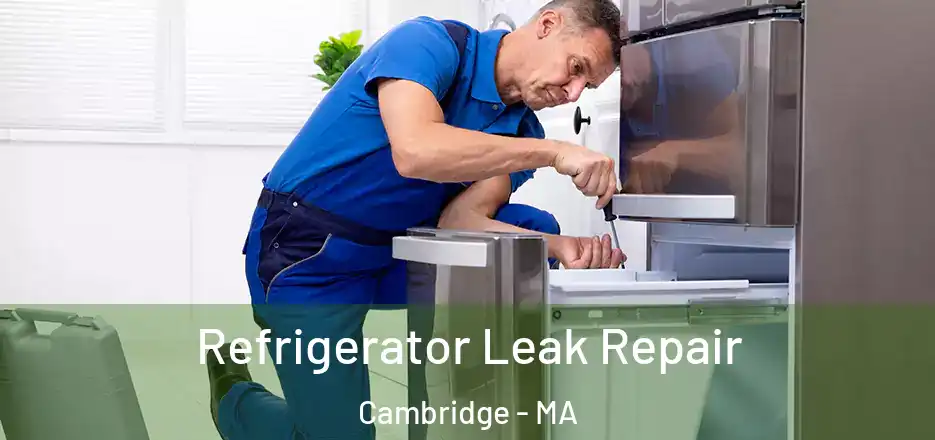  Refrigerator Leak Repair Cambridge - MA