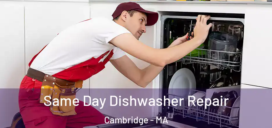  Same Day Dishwasher Repair Cambridge - MA