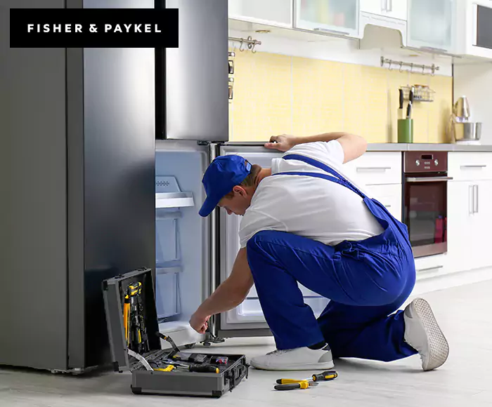 Top-Rated Fisher & Paykel Appliance Experts: Your Brand Specialist in Cambridge, MA