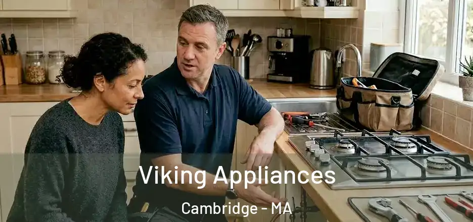  Viking Appliances Cambridge - MA