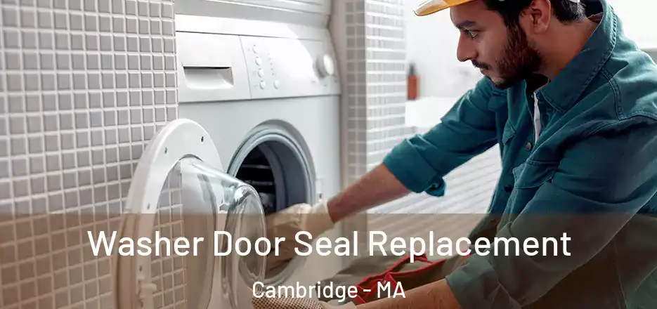  Washer Door Seal Replacement Cambridge - MA
